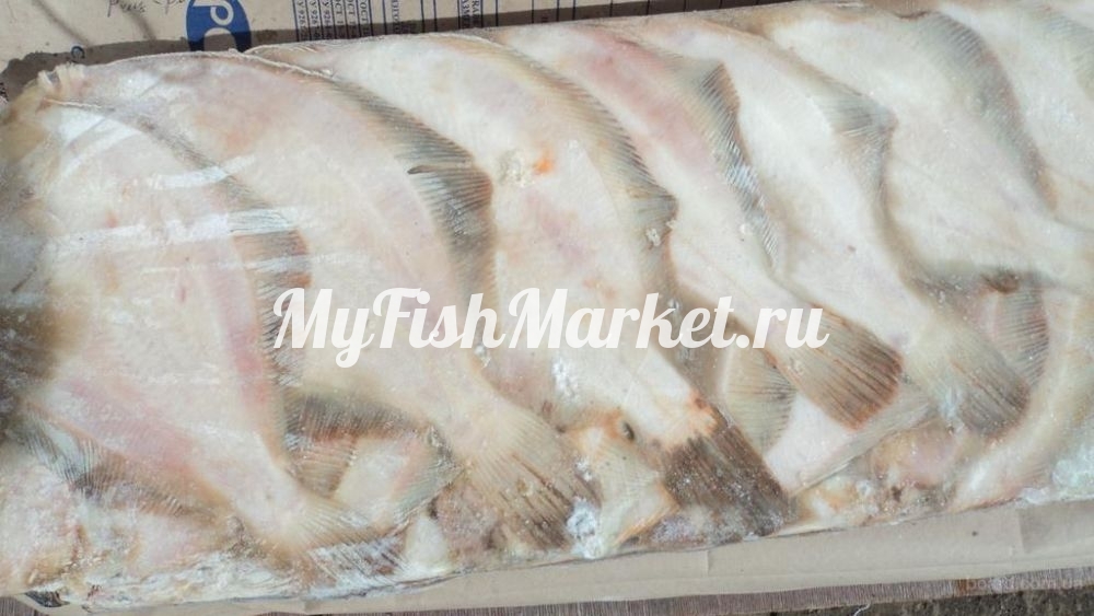 картинка Дори тушка 420+ Интернет магазина MyFishMarket.ru - доставка свежемороженой рыбы , морепродуктов , красной и черной икры в офис или на дом.